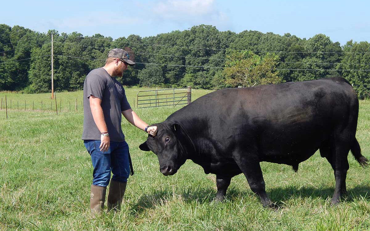 Austin with Cow